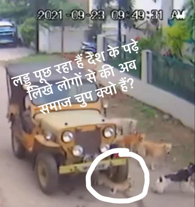 dogitization's tweet photo. Why is no society, no media, no political body or any spiritual leader not condemning this horrifying cruelty case? 
Is one FIR enough to address this subject?
- laddoo, Bhopal 
जय हिंद
#Dogitization https://t.co/KJ3H99aath