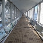 ツイートに含まれる画像