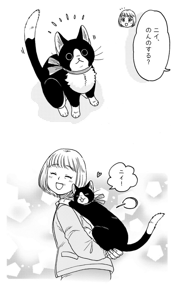 ねこまたと もろこし🐱🌽(2/2) 