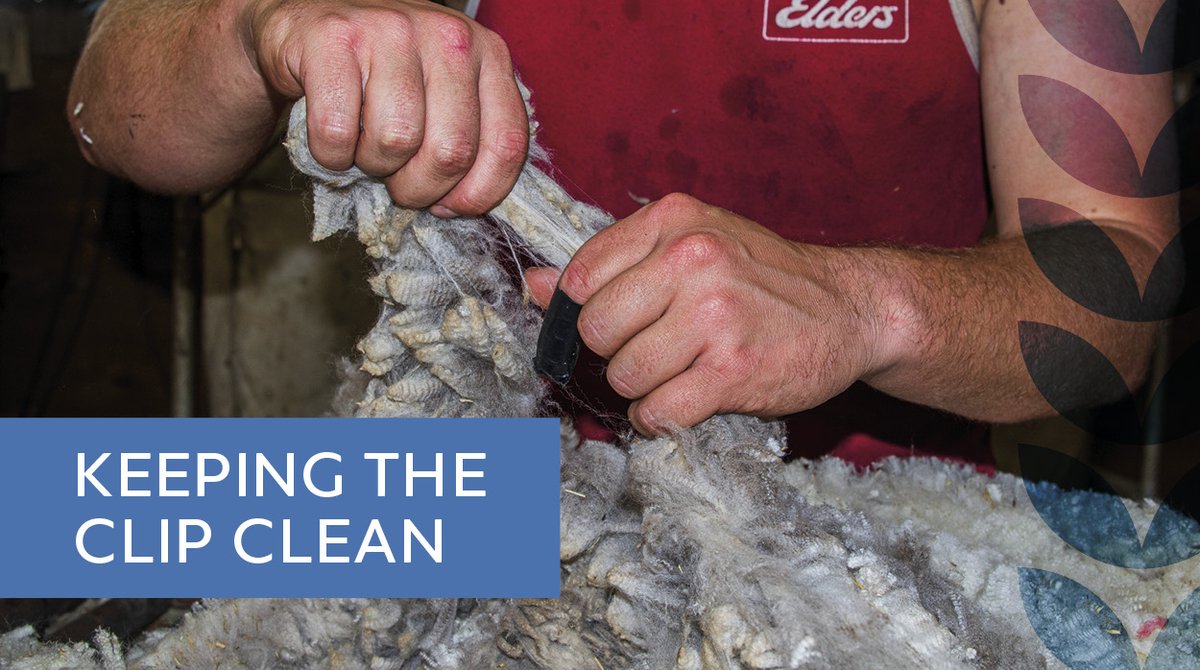 InGrainAUS tweet media