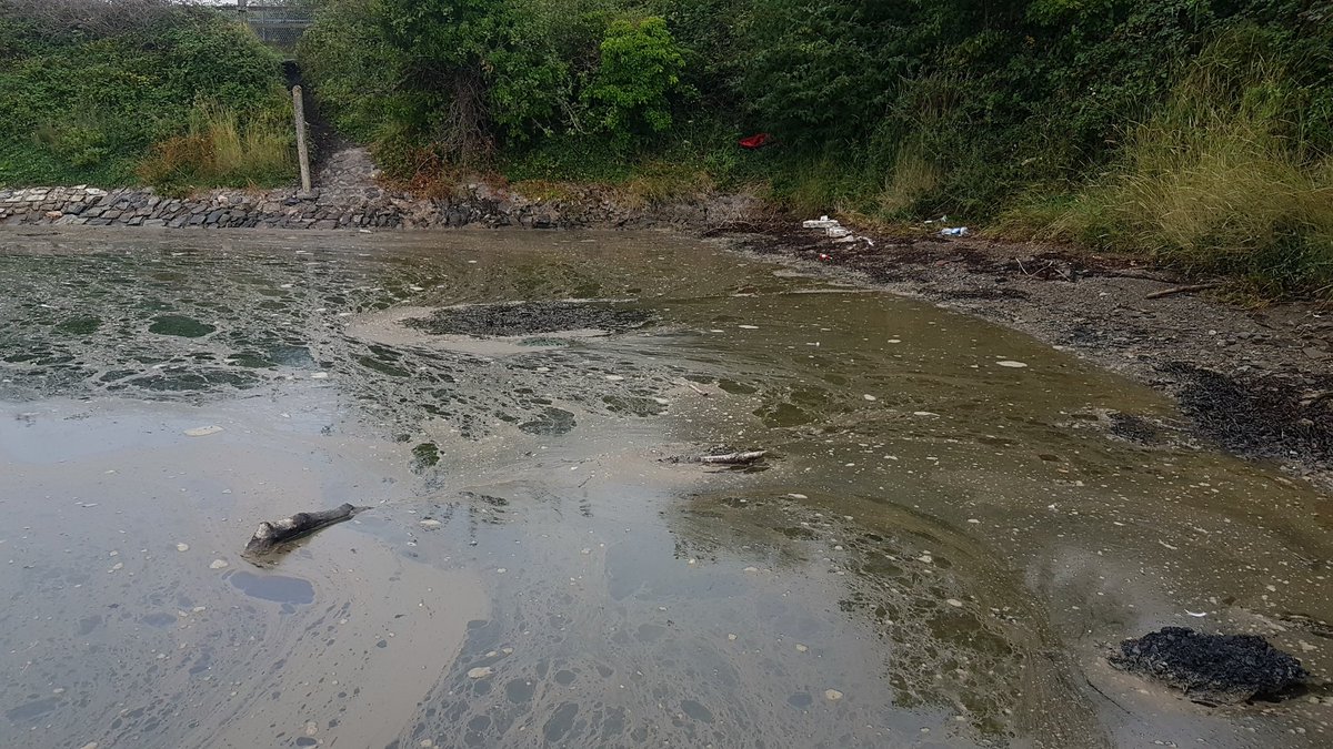 DevonRiverGypsy's tweet photo. my god theres sewage every where the beaches of the river plym #Plymouth is covered in sewage  Bloody hot line for @SWWaterND is crap @SWWater @plymouthcc @Plymouth_Live  @CarlEveCrime WARNING DONT ENTER THE WATER OF THE RIVER PLYM AT BLAGDONS DONT LET YOUR DOG IN polluted river https://t.co/MRbCBMAcCP