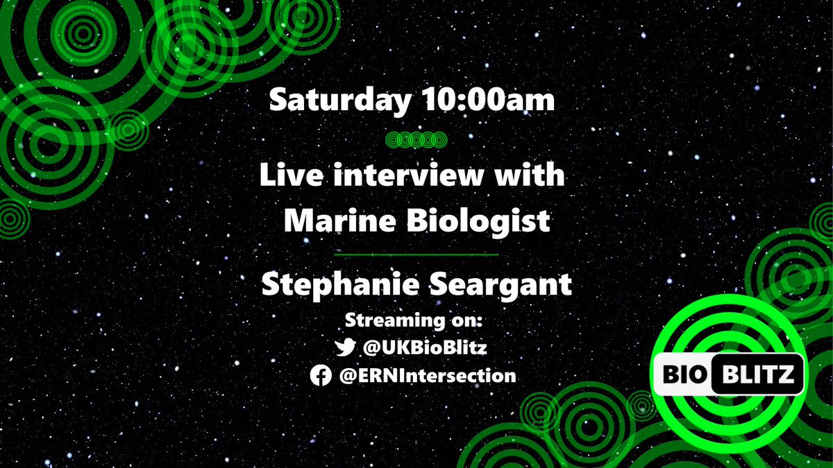 ERNIntersections tweet media