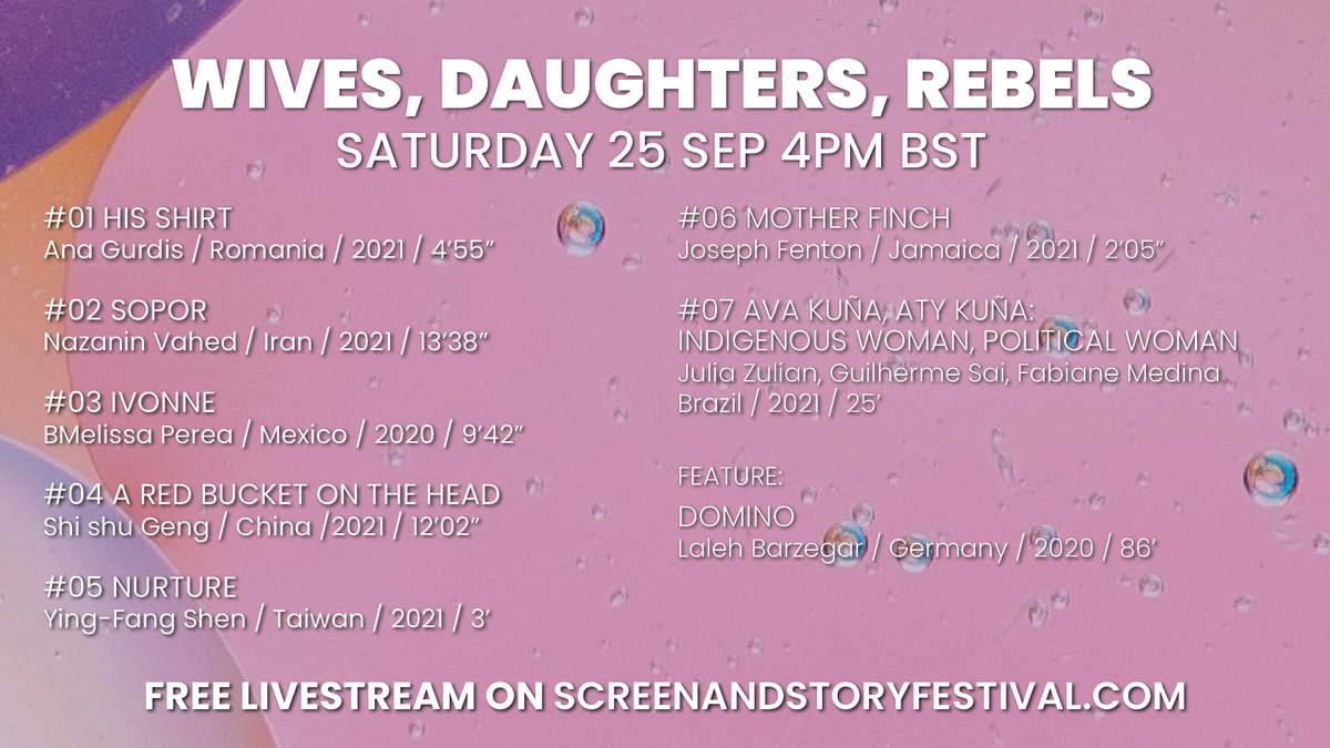 Screen and Story Film Festival tweet media