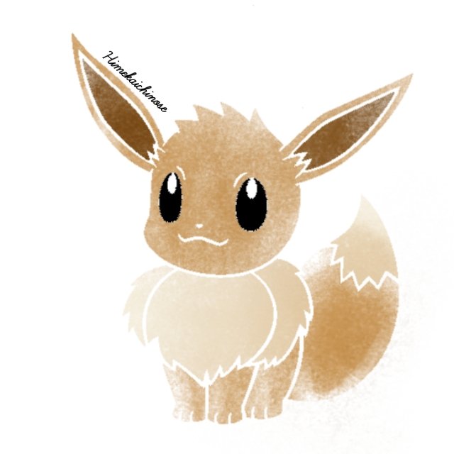 ゼニガメ ゼニガメ