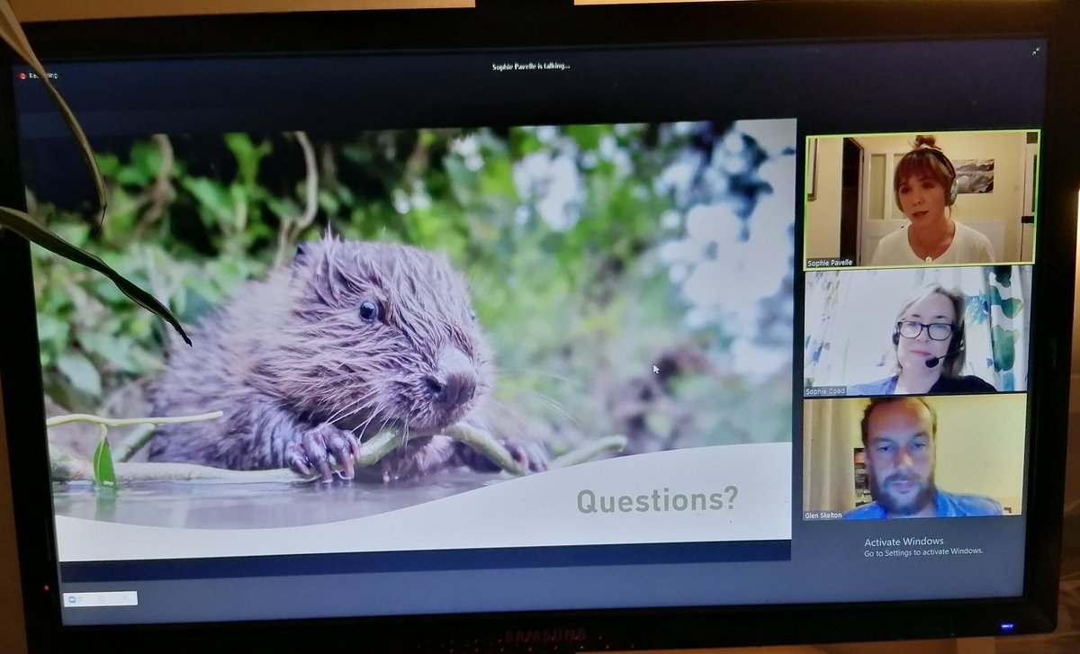 AlexG197's tweet photo. Really enjoyed another fascinating talk about beavers last night. The more I learn about this incredible mammal, the more it blows my mind! Who knew beaver castorium was used to make vanilla flavouring in the past??🍦
Thanks to @sophiepavs and @SurreyWT for the event
#riverweek https://t.co/fgWloiN6Nu