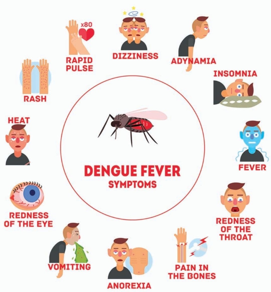 Комар денге. Вирус лихорадки денге. Желтая лихорадка карта. Лихорадка денге клинические рекомендации. Сыпь при лихорадке денге.
