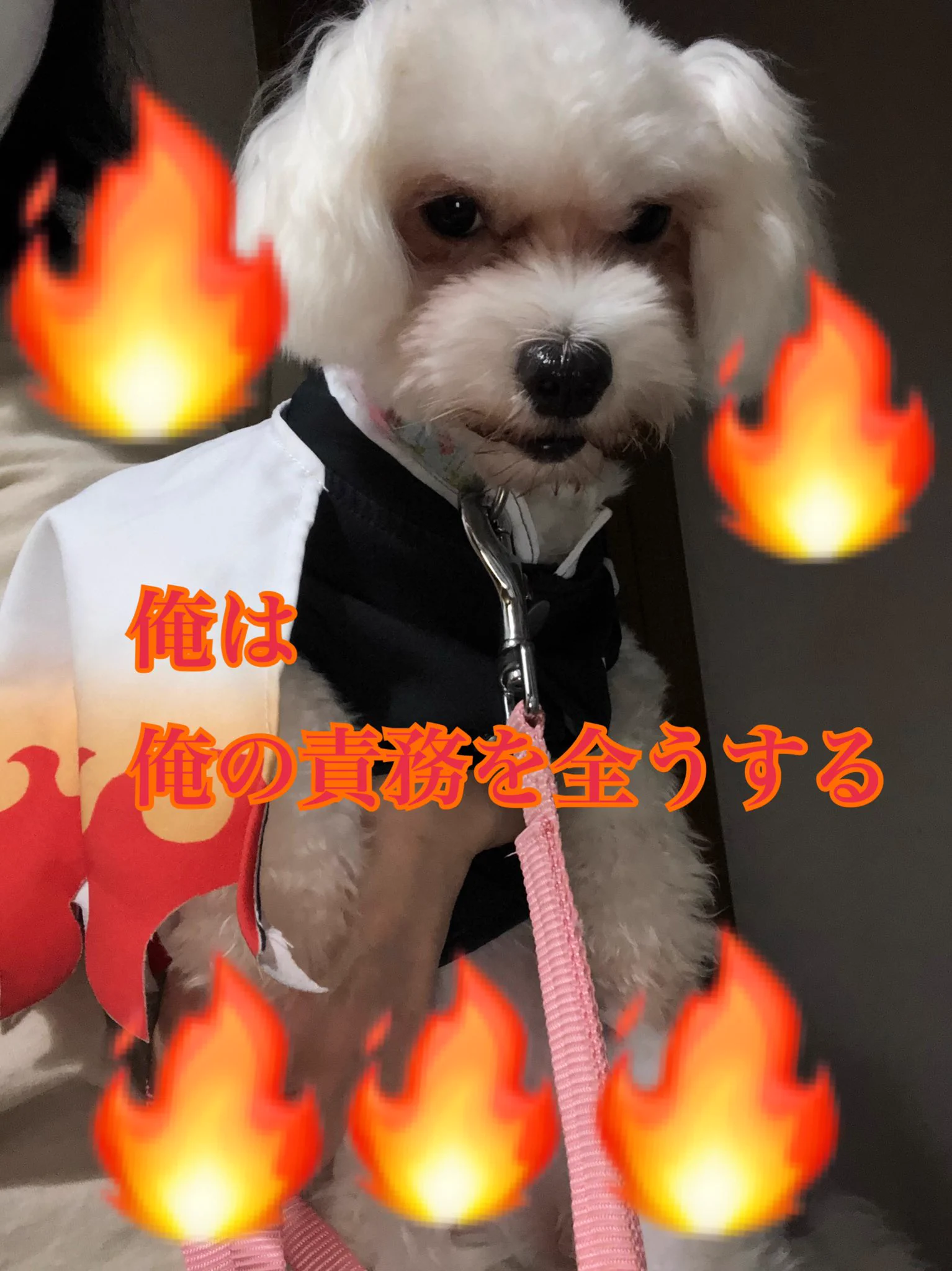 @ufotable 鬼滅祭なので
煉獄さんで決めてみました
#煉獄杏寿郎
#鬼滅の刃無限列車編
映画館とBlu-rayで何回も観てるのに
全国の人が同時に観るかと思うと
#嬉しすぎる 