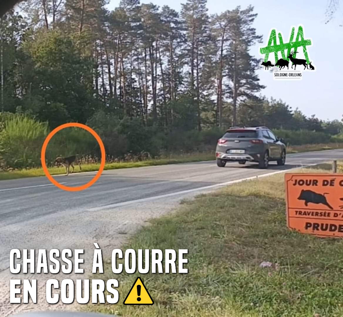 AVA Sologne Orléans tweet media