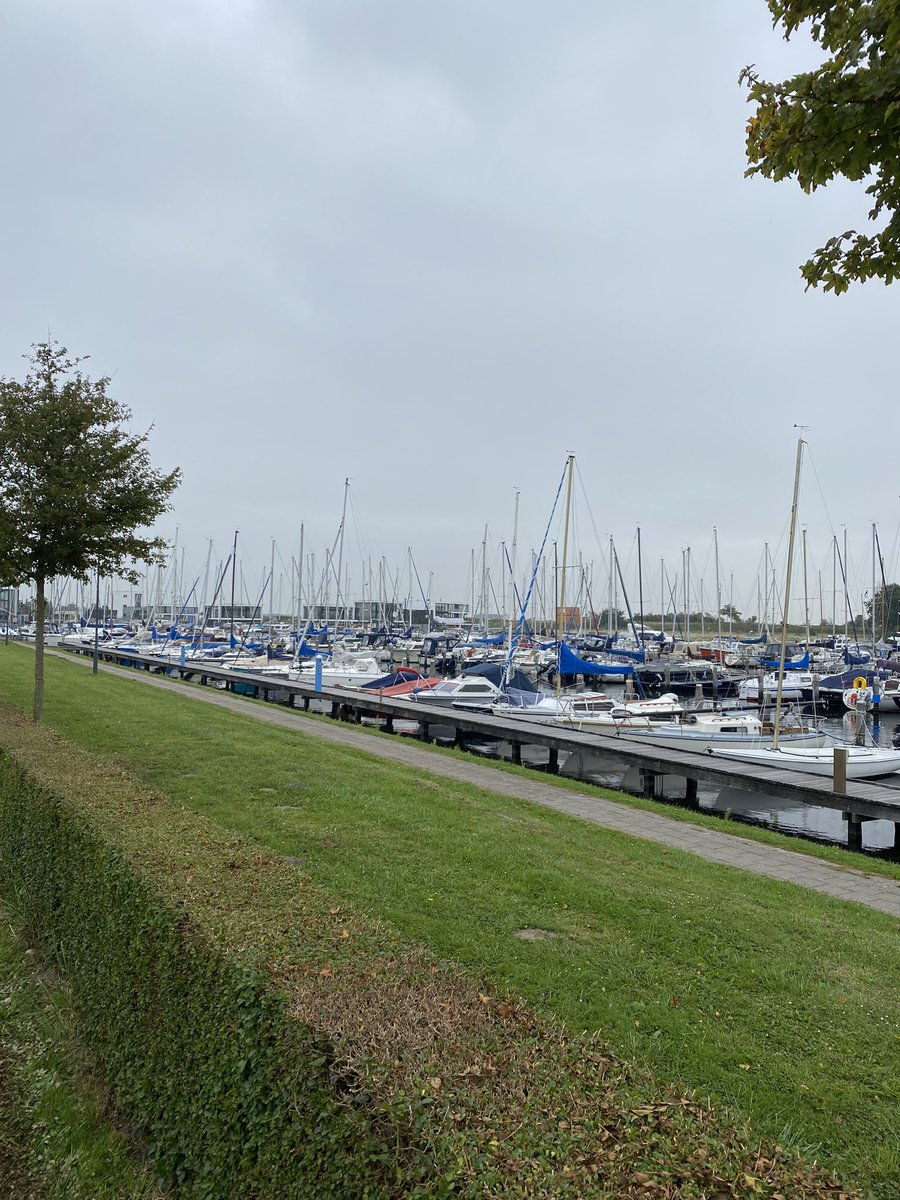 AdrzSgo's tweet image. De #SGOrun brengt je op mooie plekjes #zeeland #teamadrz @BestuurNVSHA @adrziekenhuis