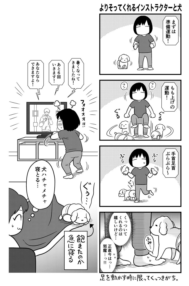 犬とフィットボクシングの相性が悪い… 