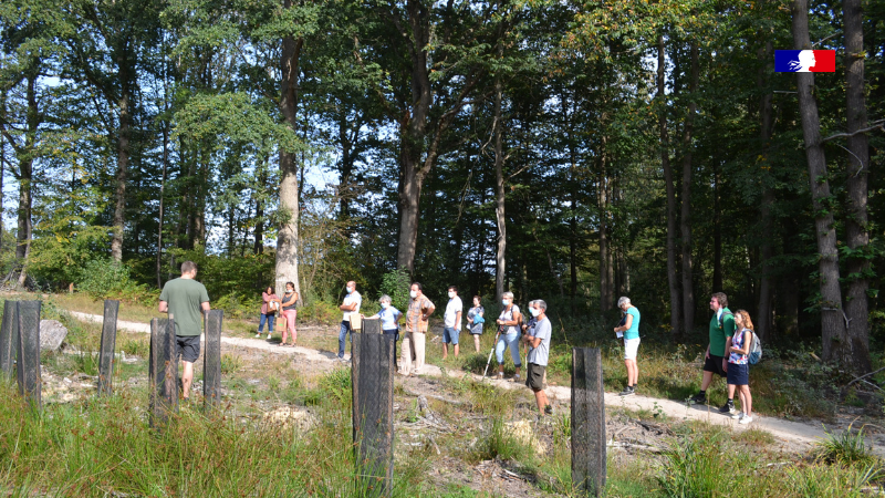 ONF_Officiel's tweet image. Mercredi 29/09, l’#ONF déploie une opération inédite dans 26 #forêts domaniales d’@iledefrance ! 

🗣️ Les forestiers partent à la rencontre des Franciliens pour leur expliquer la forêt, le #ChangementClimatique, la récolte de #bois… 

➡ Rendez-vous sur onf.fr/onf/+/fc4.