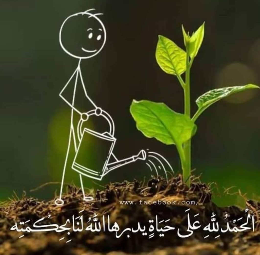 Osha02433698's tweet photo. الحمد لله https://t.co/UB0SUR0xWd
