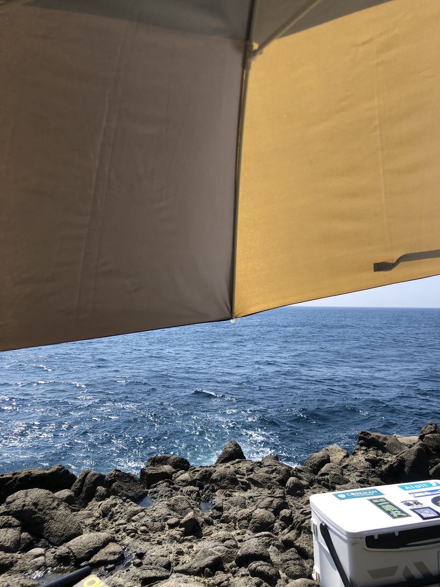 vrkra77's tweet photo. ロックショア1日目
一級磯に乗れたので、青物狙いで行くも不発!
シイラは遊んでくれました(^^)
最後に15分ほどロックフィッシュやって終了
#ロックショア
#ロックフィッシュ
#fishmam
#ヤマガブランクス
#ブルースナイパー
#ベンダバール101m https://t.co/GvHu5cYcB0