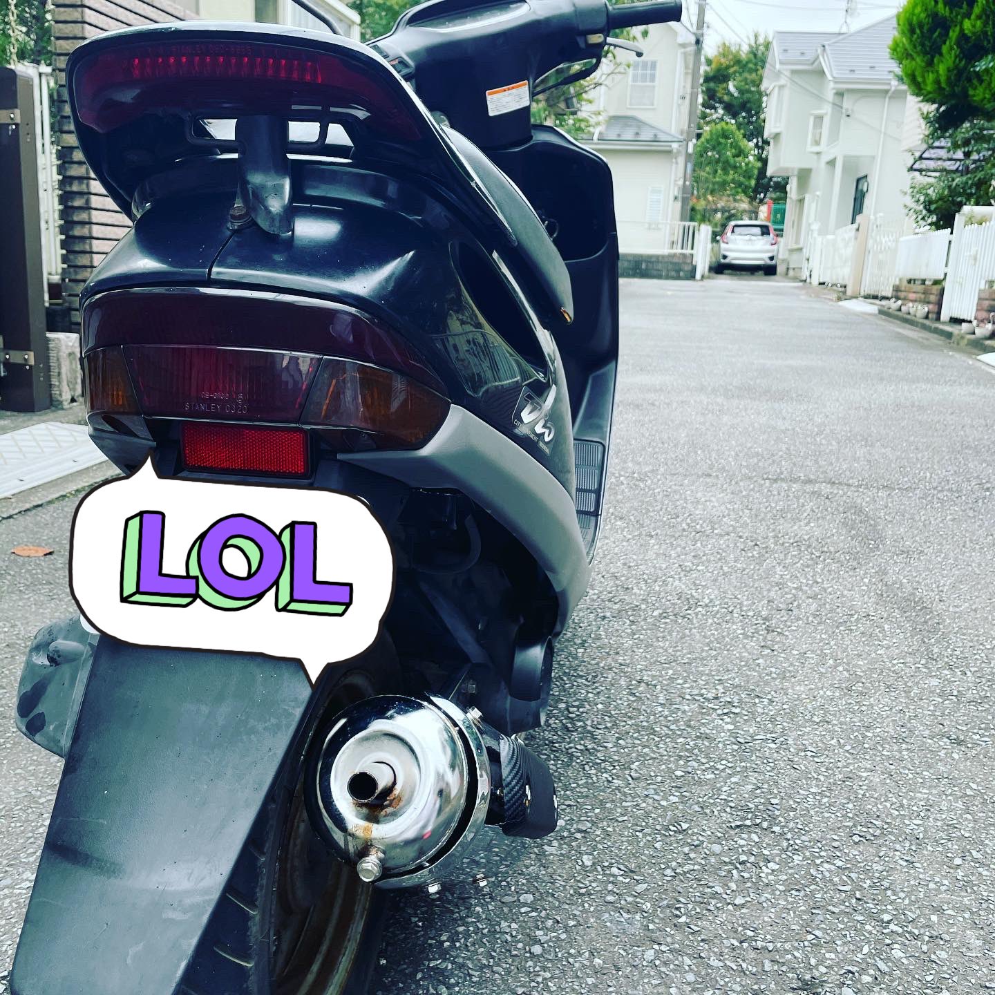 ちゃんたろうさん専用 Amazon | カメレオンファクトリー パラライザー3