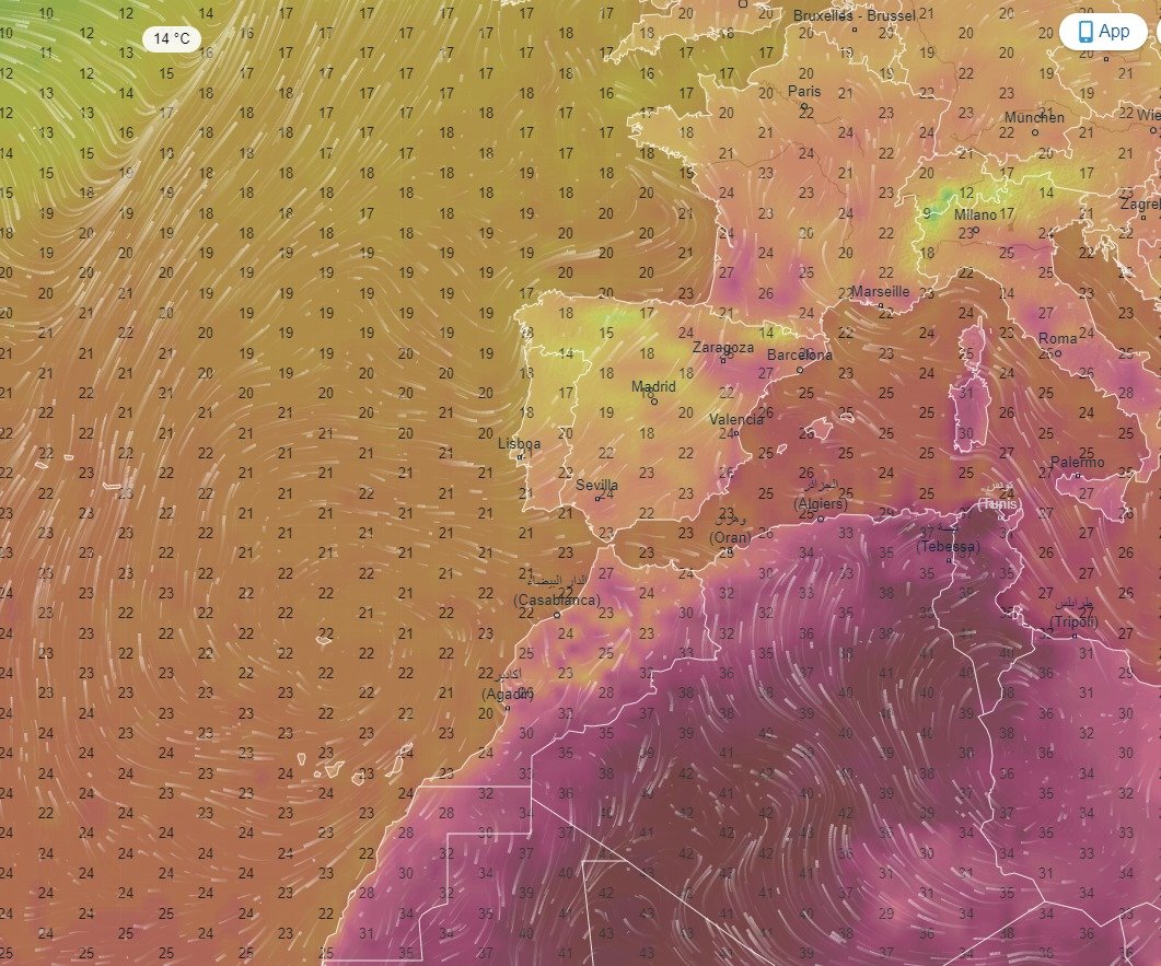 Out of Africa. Perfect conditions for northwards migration today over the Atlantic, Iberia and the Med.