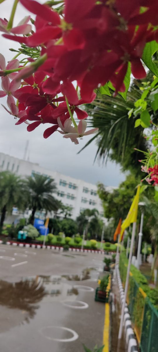 Navdeep531's tweet photo. #cgcjfreshmenorientation #admission2021 #freshers2021 #studentlife #college https://t.co/eIFO7SXfdw