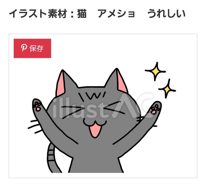 アメショのtwitterイラスト検索結果