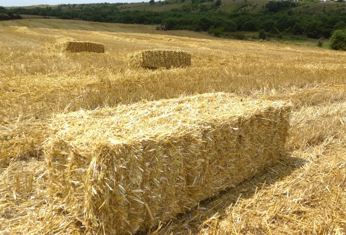 HAYATIMIN ÖZETİ....