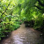日本庭園情報メディア『おにわさん』-The Japanese Gardens-のツイート画像