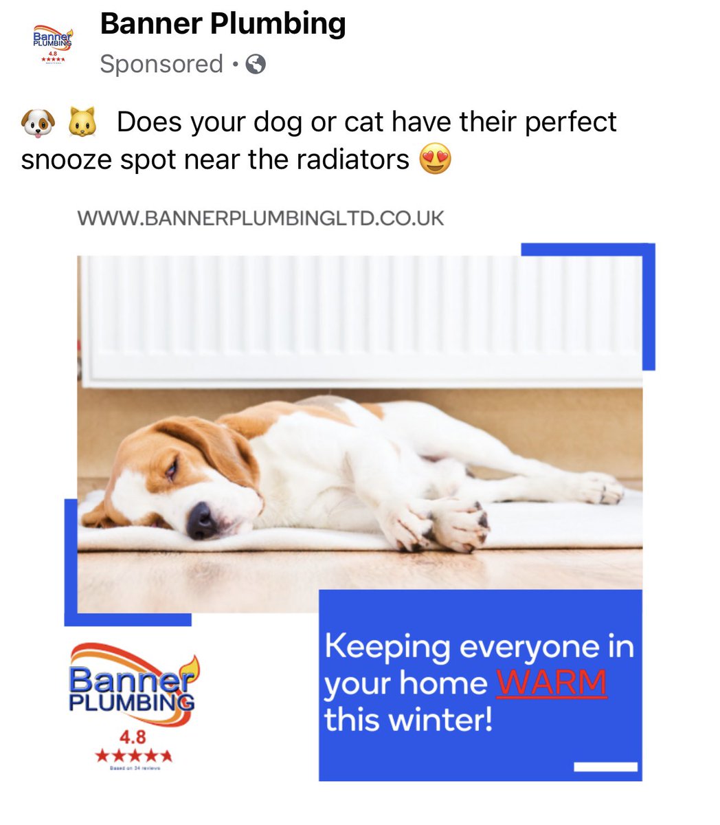 #warm #glow #heating #comfort #peace #dog #energyefficiency #pets #love