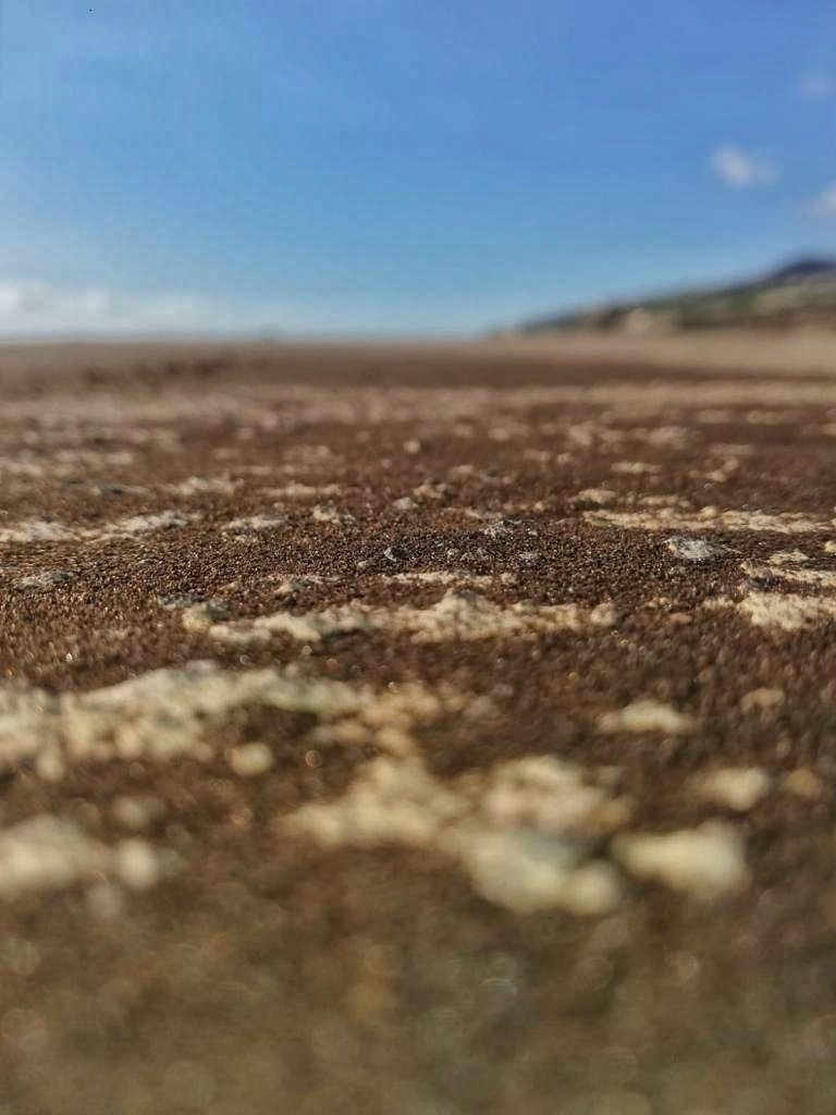 controladores's tweet photo. Imágenes de esta mañana en el aeropuerto de #LaPalma con muchas zonas cubiertas de cenizas. Las tareas de limpieza para dejar el aeropuerto operativo llevarán bastante tiempo. #VolcanLaPalma https://t.co/EEhYV7nX5t