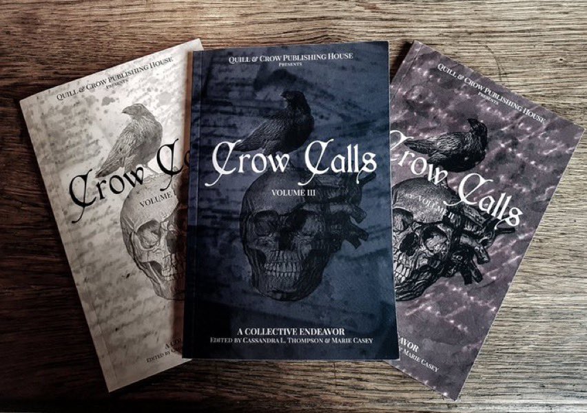 If you haven’t yet, give these a spin. Any or all - some amazing words, poetry and what-nots. Fine talent and you might even find a web or two between the pages. quillandcrowpublishinghouse.com/shop #poetry #indieauthors #poetrycommunity #poets #indie