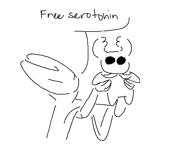 here 