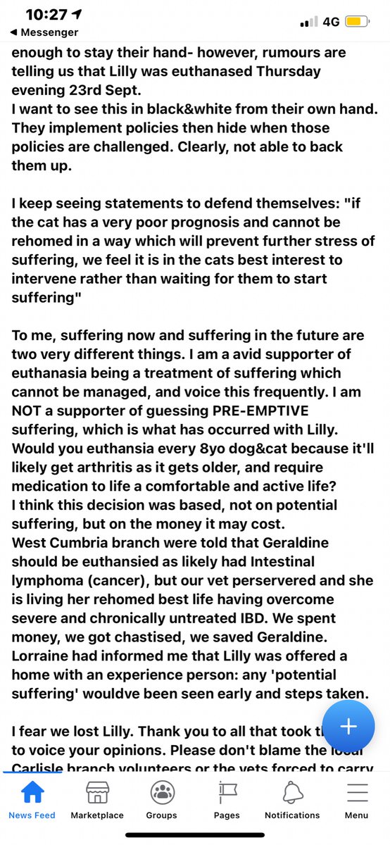 AlanaFilby's tweet photo. @rickygervais https://t.co/hQycE6zDUY Cats Protection have euthanised another kitten that could have had a chance at a happy life. Please make your followers aware of their kill policies. A vet offered to adopt her so she would have the best chance to be healthy, and they ignored https://t.co/vJiYzeOkZW