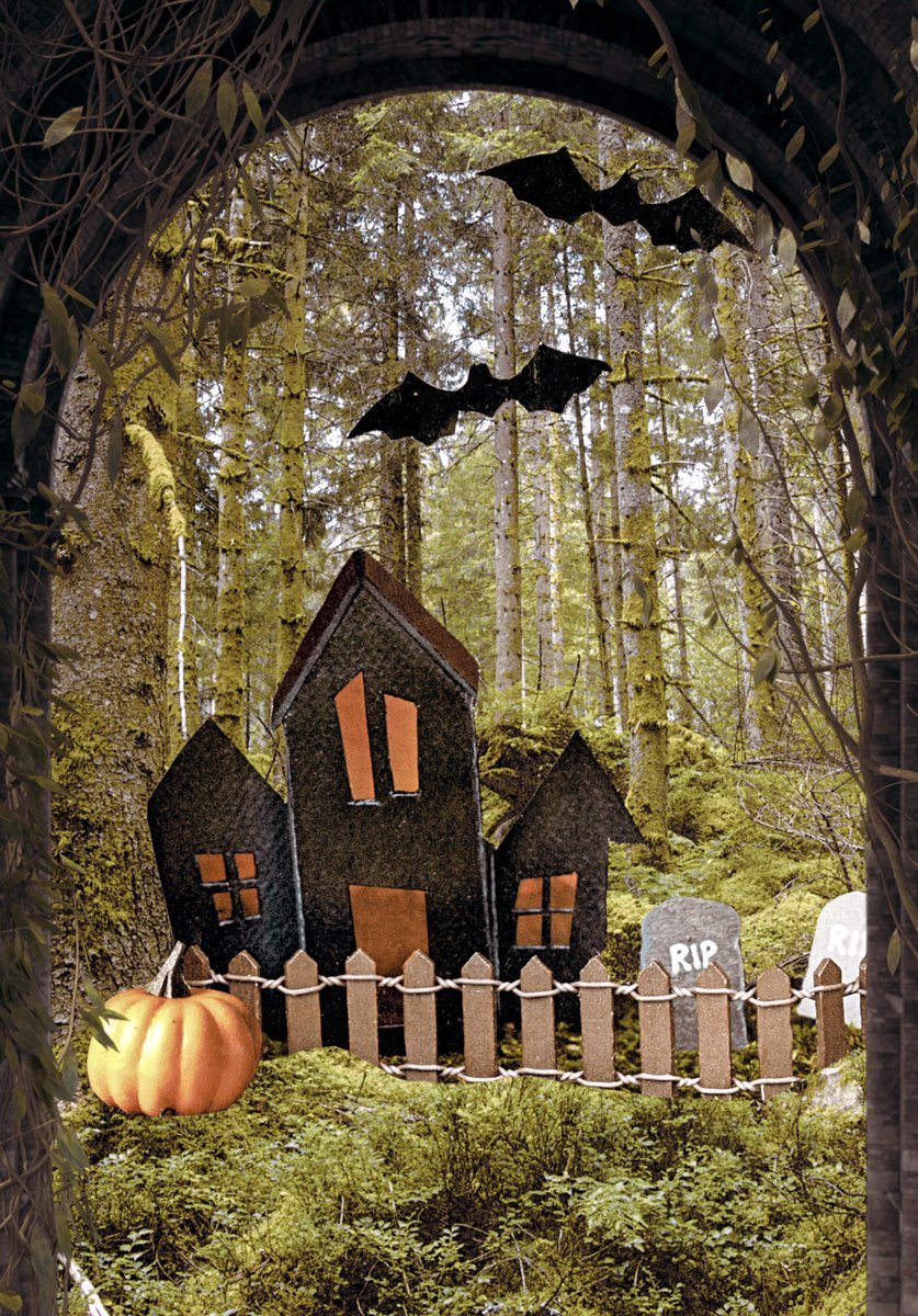 KatCockerham's tweet image. working on…@opensea