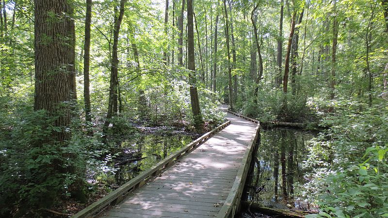 The Great Swamp National Wildlife Refuge is just one of New Jersey’s incredible natural resources. Proud to call this state home! #NationalPublicLandsDay