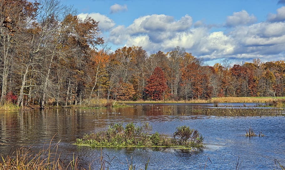 PhilMurphy's tweet photo. The Great Swamp National Wildlife Refuge is just one of New Jersey’s incredible natural resources. Proud to call this state home! #NationalPublicLandsDay https://t.co/0SlBG419vw