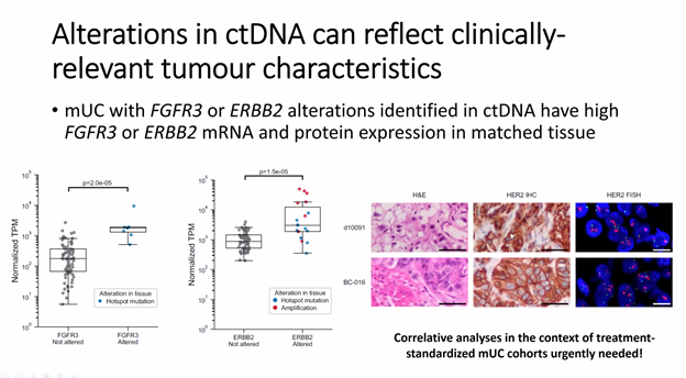 IBCN1997's tweet photo. IBCN Webinar Series continues with another high impact presentation by @ResearchWyatt regarding ctDNA in metastatic setting! Powerhouse talks and impressive attendance with leaders in bladder cancer! https://t.co/ewYeyTXQNu
