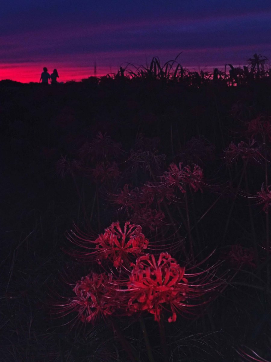 秘密 ロケ地 撮影秘話 最新情報まとめ みんなの評価 レビューが見れる ナウティスモーション 37ページ目