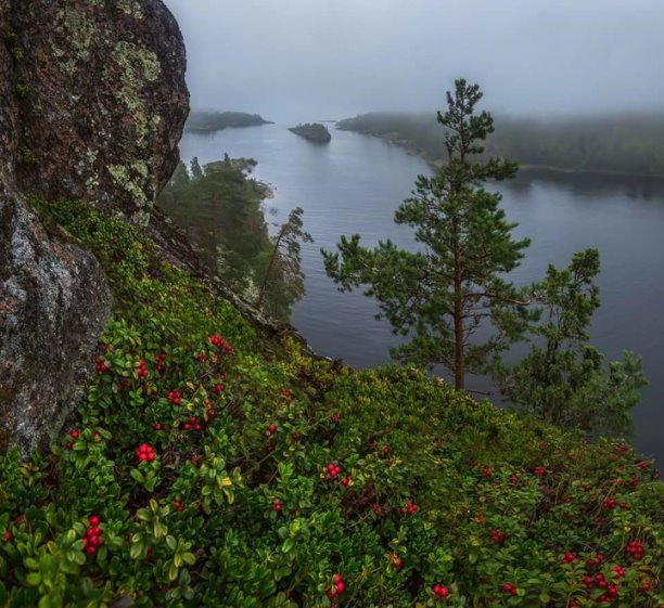 maksim (@maksim92306025) on Twitter photo 