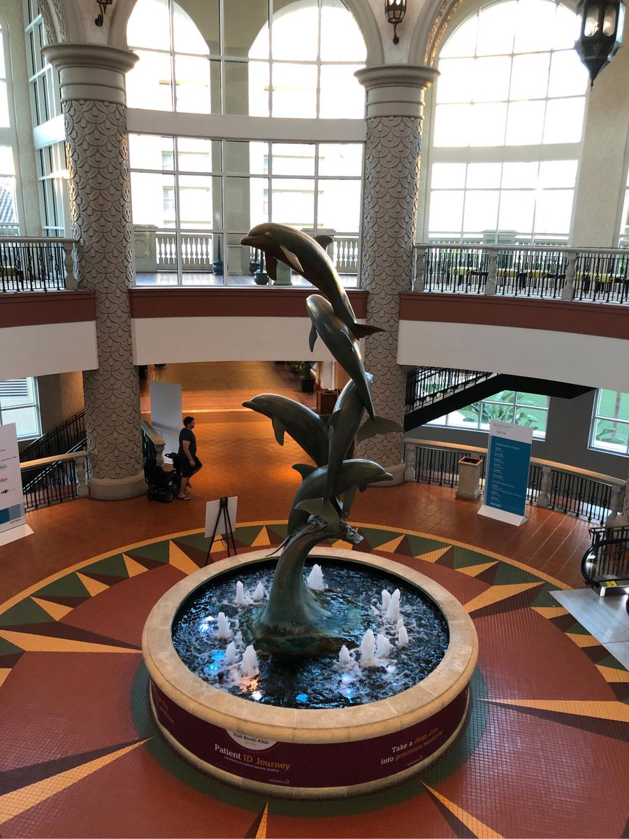 feldstej's tweet photo. #CAP21 #CAP19 throwback https://t.co/vFr7m369ys