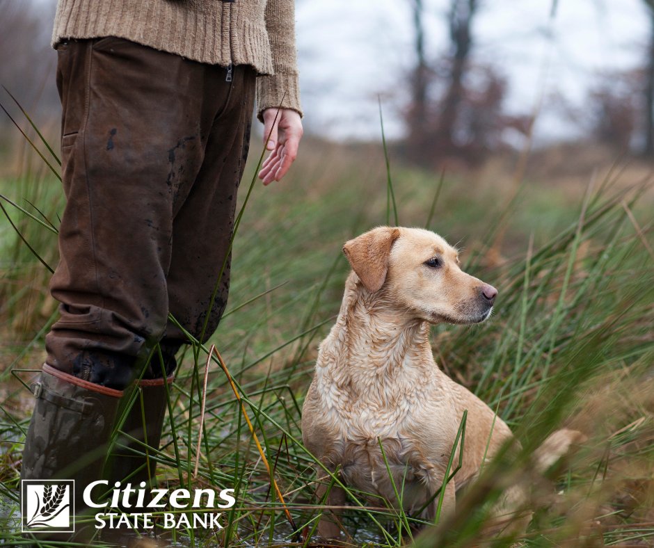 BankCitizens's tweet photo. To our fellow hunters: enjoy Waterfowl Opener today! 🌾
.
Be safe...and remember! >> you can do mobile banking through Citizens State Bank to give you more time to head out the door and go hunting. 😉
.
🌐 https://t.co/OJUOJVt1mG https://t.co/m3Q7xGiUiq