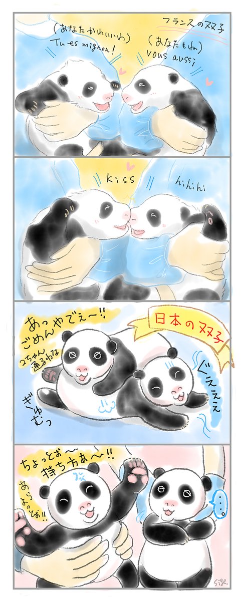 日本の双子とフランスの双子 なんだか雰囲気違うなと思うのは私だけ どっちも元気で大きくなぁれ 双子パンダ 1ちゃんと2ちゃん 赤パン フランスパンダ パンダ Panda 4コマ漫画 マンガが読めるハッシュタグ ツイレポ