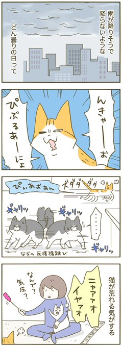 雨の前日は だいたいこんな感じ 
