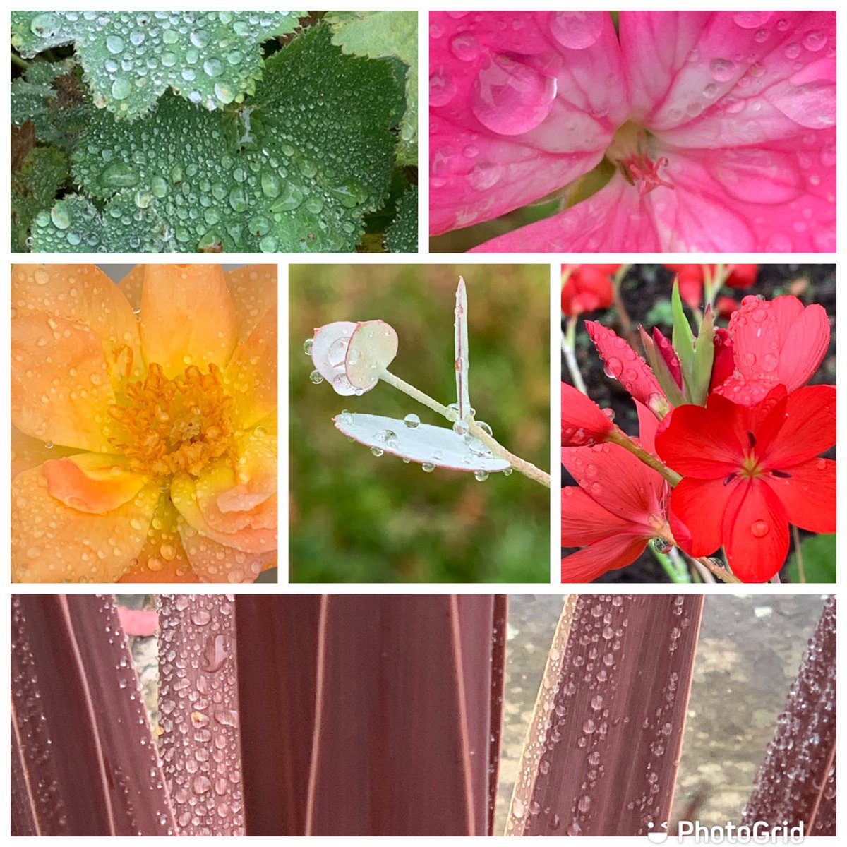 #SixOnSaturday It’s that sort of day!