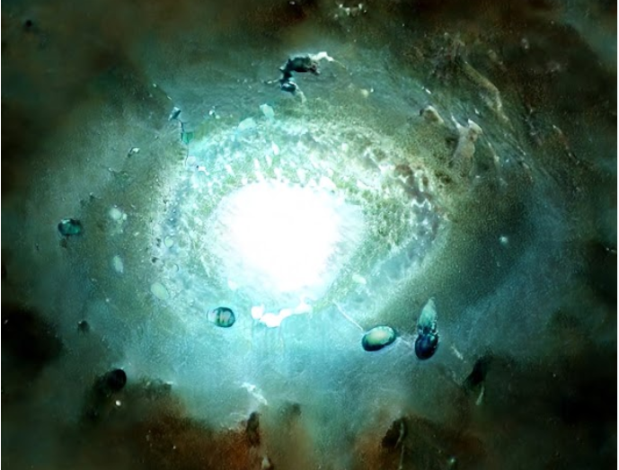 AstroEyesOpensea tweet media