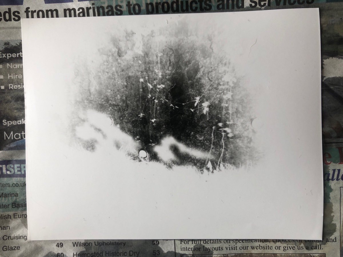 Apologies for the lofi phone conversion. 
My first 2 frames from #DPCWT2021
#DavesPinholeCameraWorldTour2021 #lenless #lenslessphotography #pinhole #pinholephotography