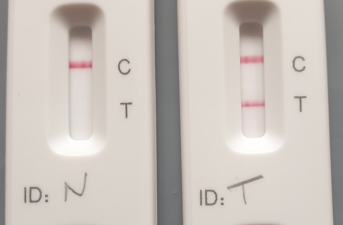 Son and husband covid +ve so i'm doing lots of lfts this week. Test on left is my nose swab (as per instructions), on right is my throat swab (me experimenting). Same kit, same time #covid #LFT