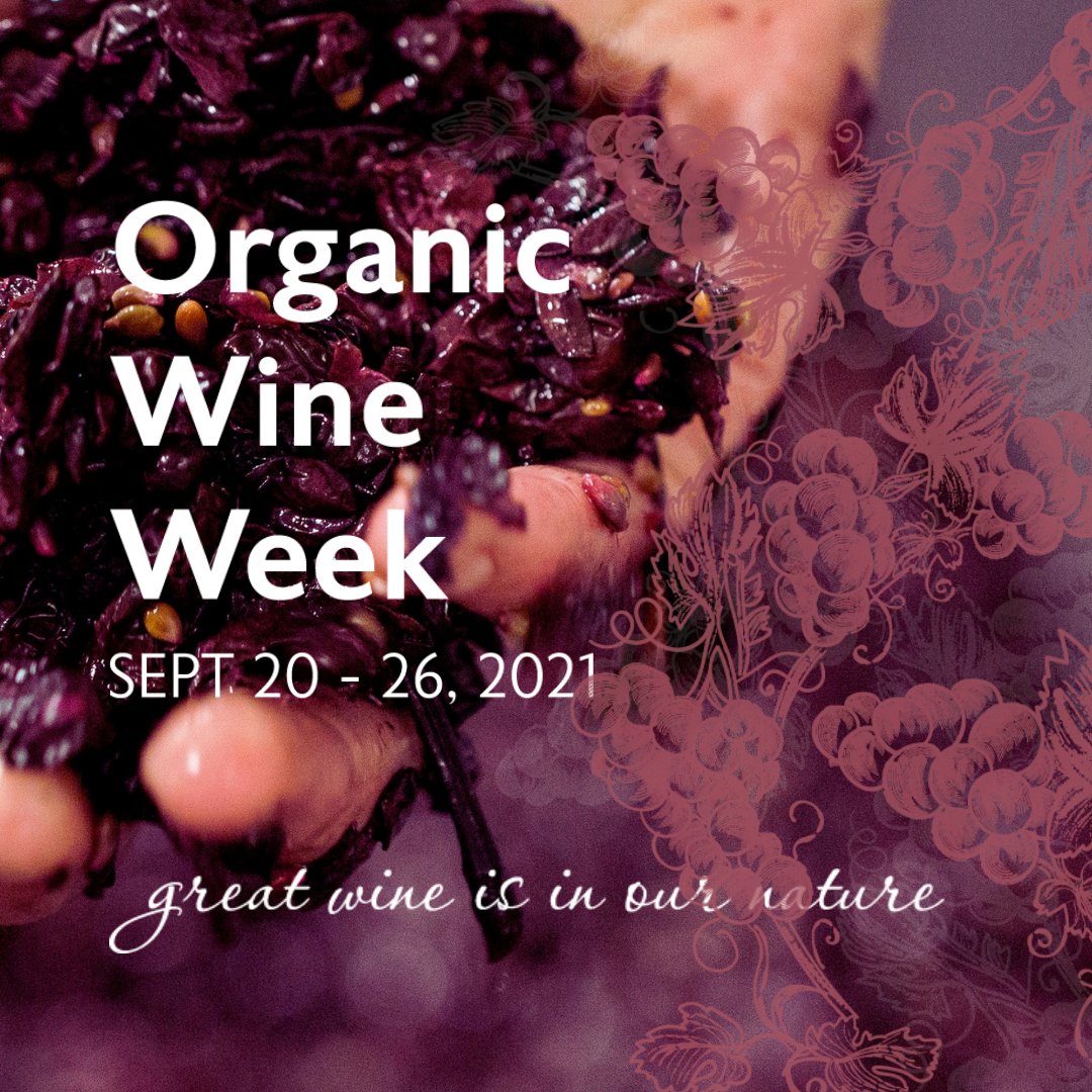 What an amazing #organicwineweek we have had so far and although ‘technically’ we only have one day to go we decided early on to extend the week to include the first UK in-person organic wine tasting in 18 mths. The tasting will be held on 28 Sep at the prestigious 67 Pall Mall.