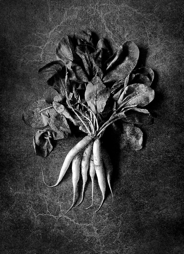 More moolies for the kitchen wall. #mooly #kitchenart #fineart #kitchenfineart in