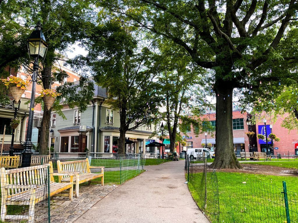 HarvardAlumni's tweet photo. Nothing better than a Saturday in the Square π #HarvardInFall https://t.co/WUvDkrLga4