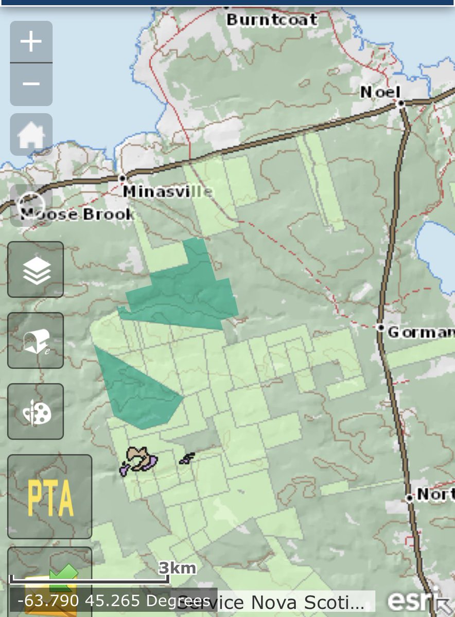 Why bother tramping Nova Scotia Public Land before comments close? Here's one answer. Healthy globally endangered White Ash mother tree and all her children in a vast Old Growth treed bog to be clearcut. No one knows, nor cares? I do. RETWEET if YOU do too nsgi.novascotia.ca/hpmv/