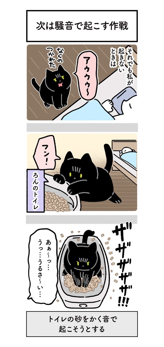 毎朝飼い主を起こしているうちに起こし方がだんだん進化してきたねこの絵日記(3まい) #ろんの絵日記 