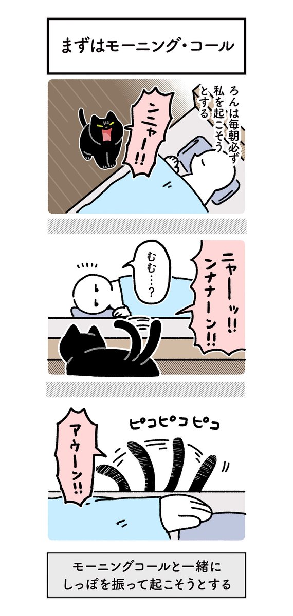 毎朝飼い主を起こしているうちに起こし方がだんだん進化してきたねこの絵日記(3まい) #ろんの絵日記 