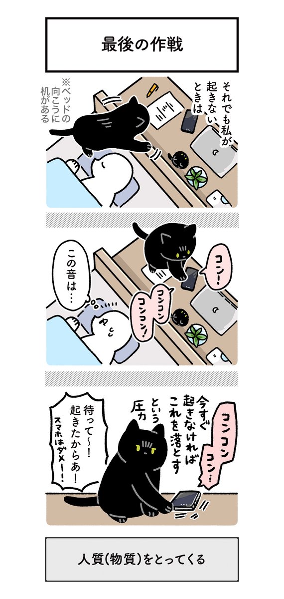 毎朝飼い主を起こしているうちに起こし方がだんだん進化してきたねこの絵日記(3まい) #ろんの絵日記 