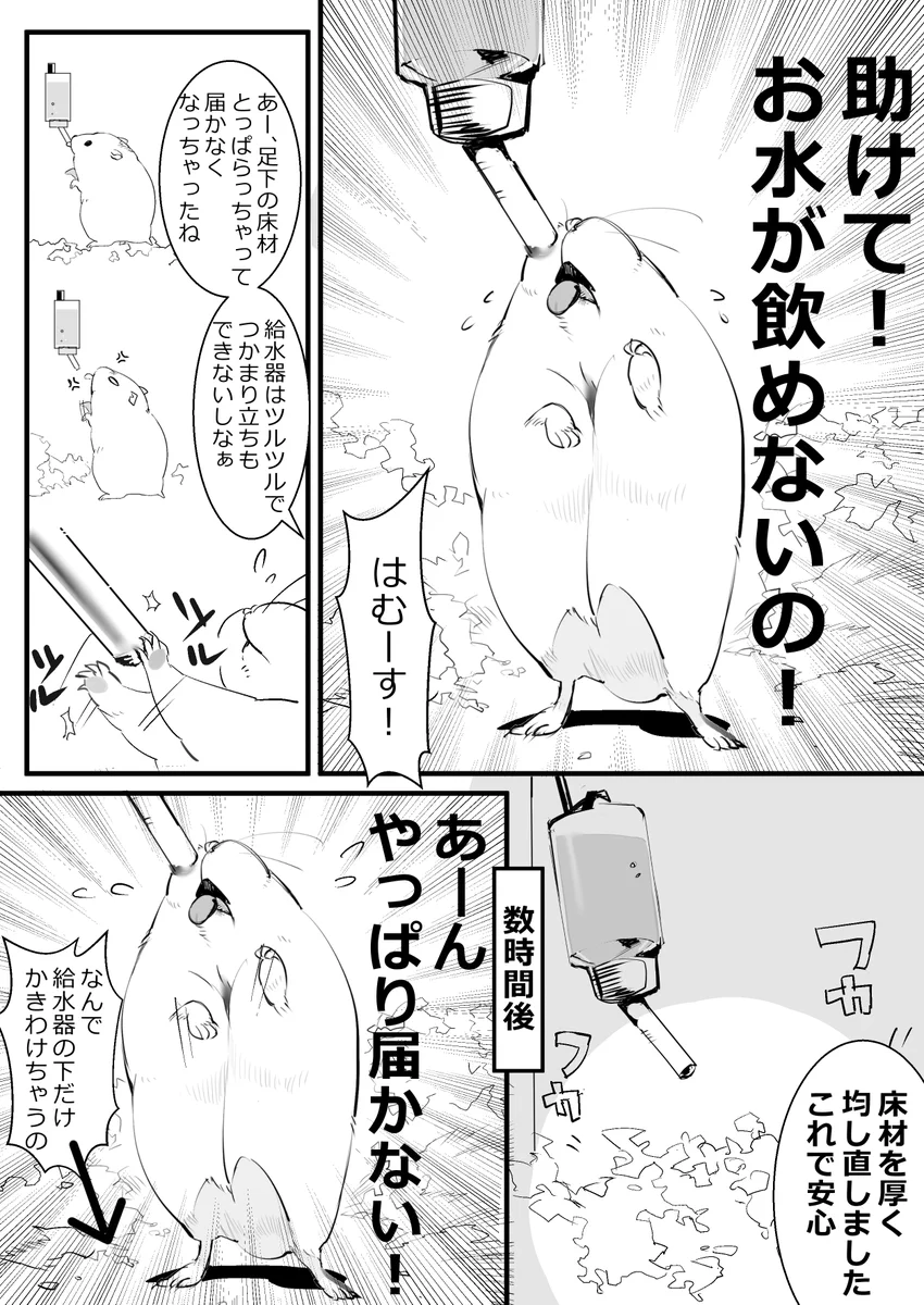 活用の仕方が予想の斜め上！給水器に届かず水を飲めないハムスターのために台を置いてあげた結果･･･！